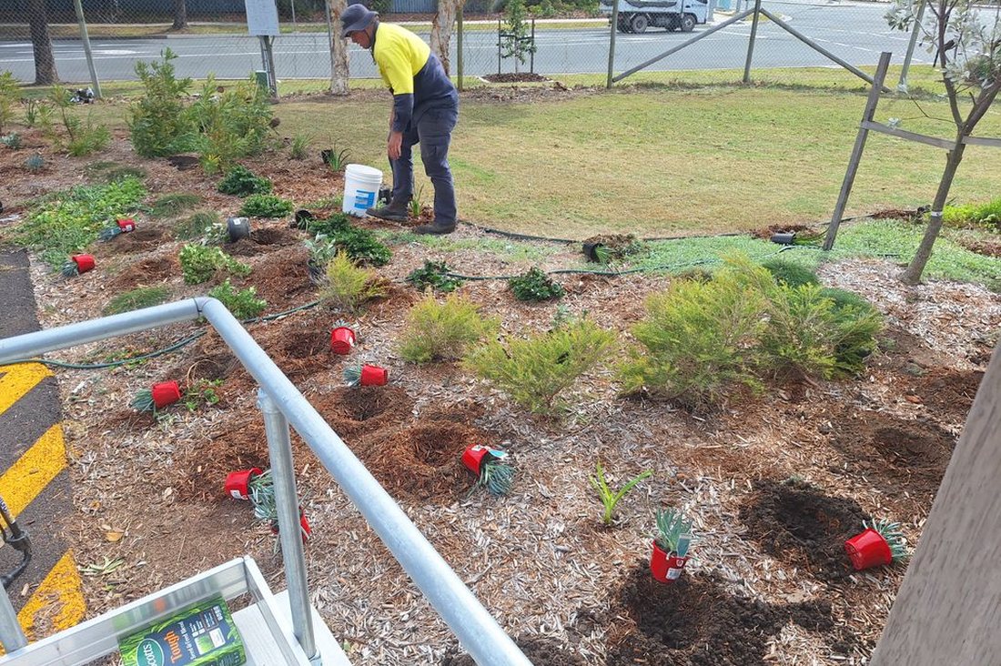 Bokarina Beach Village — Grolife crew member working on a freshly planted bed with new plant tags and 'The Decks' signage behind
